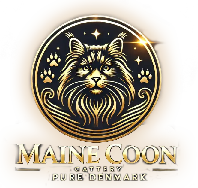 Maine Coon Cattery Pure DenMark